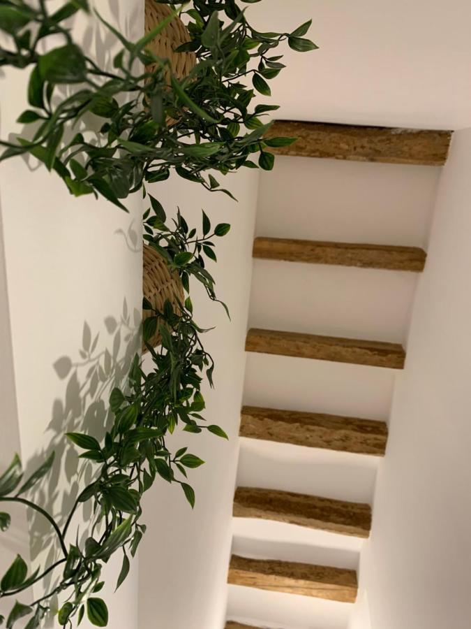 Apartaments Impro Mora d'Ebre Εξωτερικό φωτογραφία
